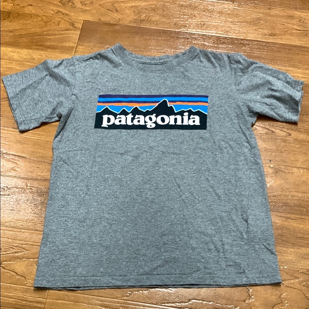 Patagonia Logo Graphic Tee